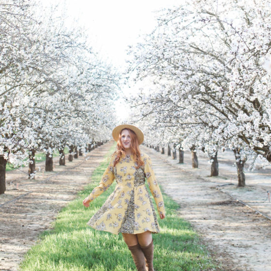 flowers almond blossoms california yellow dress